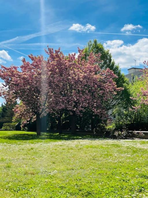 Studio Situe A 5 Min Du Chateau De Versailles Et Stationnement Gratuit Buitenkant foto